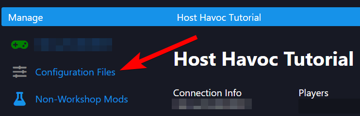 Configuration File option on the game panel