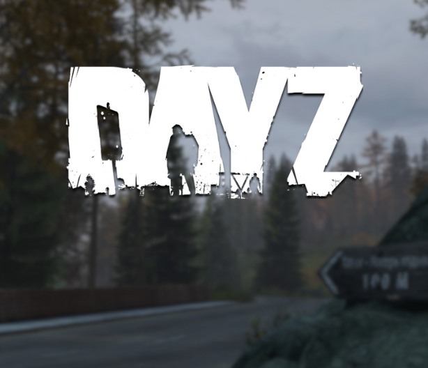 DayZ