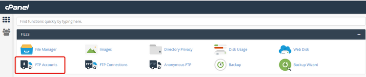 cPanel FTP Accounts under the Files section