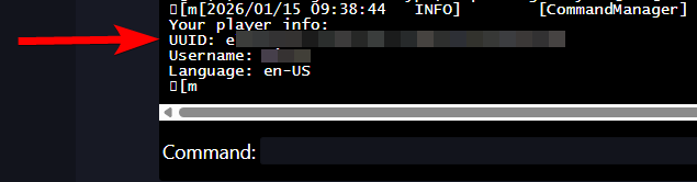 Web Console-uitvoer met spelersgegevens en UUID na het uitvoeren van de opdracht uuid